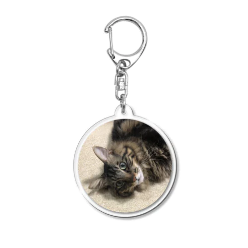 熊野家の猫 ころがり（円） Acrylic Key Chain