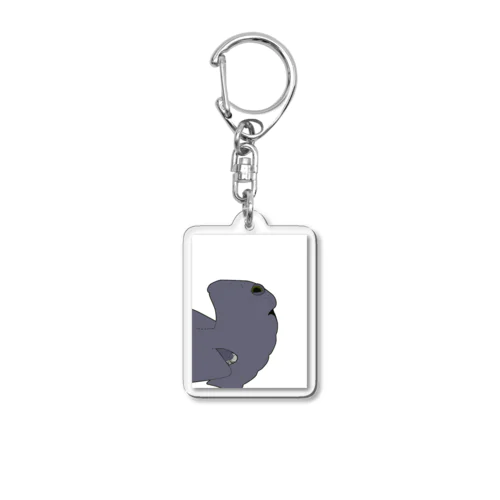 アカシュモクザメのあたま Acrylic Key Chain