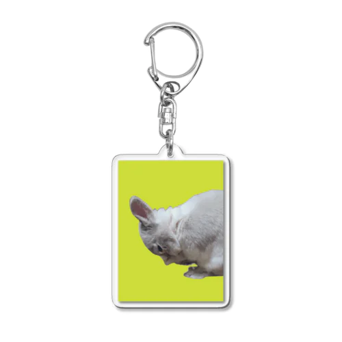 くしくしバニラたん Acrylic Key Chain