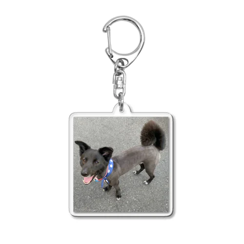 愛犬ラックのつるつる Acrylic Key Chain