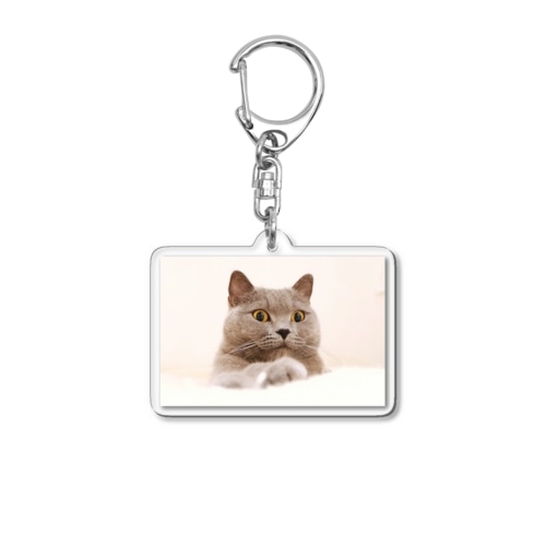 アグ(おめめまん丸) Acrylic Key Chain
