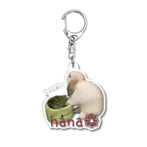 hana Acrylic Key Chain