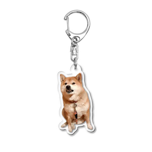 怒ってる犬 Acrylic Key Chain