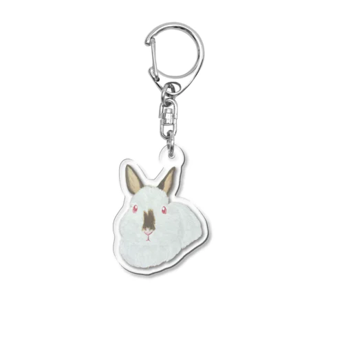 うさぎさん🐰ヒマラヤン Acrylic Key Chain