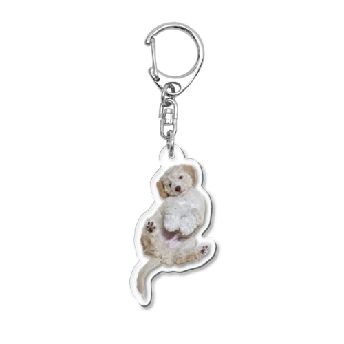 香ばしい子犬 Acrylic Key Chain