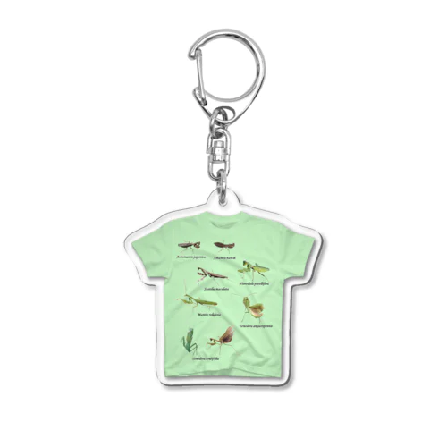 関東のカマキリ（旧学名・非推奨）Tシャツキーホルダー（デザイン部分大きめ） Acrylic Key Chain