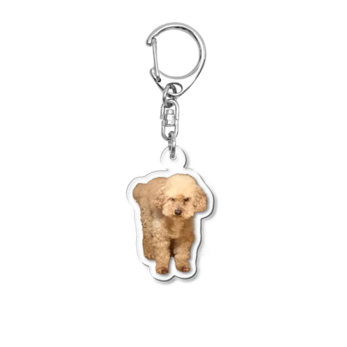 睨む犬 Acrylic Key Chain