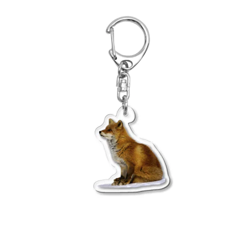 お座りするキタキツネ Acrylic Key Chain
