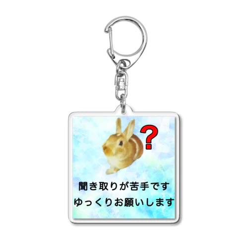 うさぎ　聞き取りが苦手　APD 聴覚情報処理障害　難聴 Acrylic Key Chain