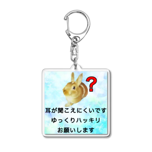 うさぎ　耳が聞こえにくい　片耳難聴　両耳難聴　聞こえづらい Acrylic Key Chain