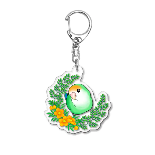 かわインコシリーズ　その1 Acrylic Key Chain