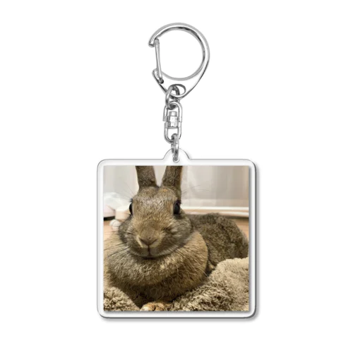 うさぎのきびちゃん Acrylic Key Chain