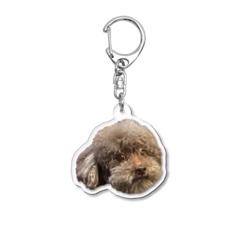 うちのお犬　かうる Acrylic Key Chain