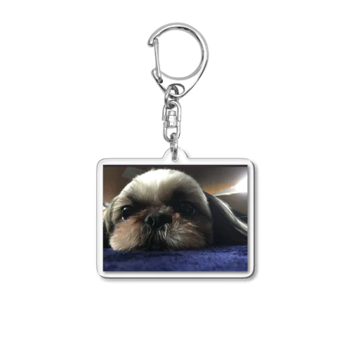 こてるくん　🐶 Acrylic Key Chain