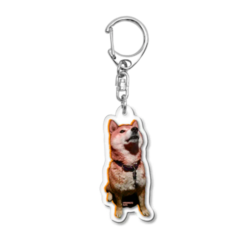 ナッツくん Acrylic Key Chain