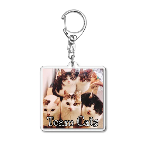 Team Cat Acrylic Key Chain