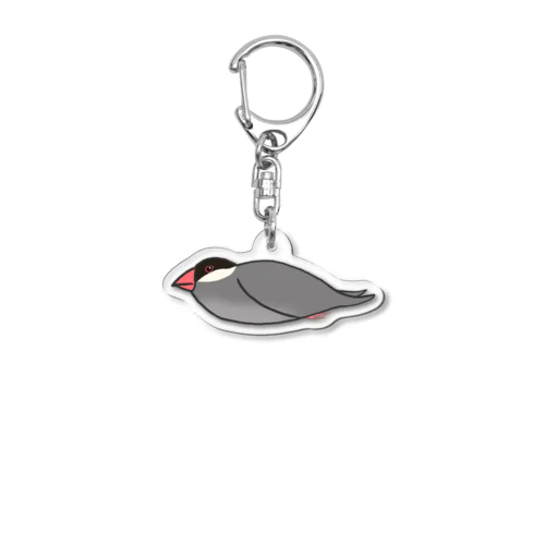 Java sparrow Acrylic Key Chain