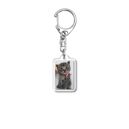 Dinah the cat Acrylic Key Chain