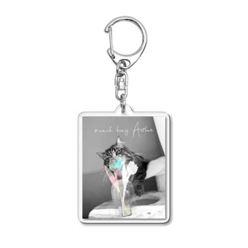 Spring coming soon Acrylic Key Chain