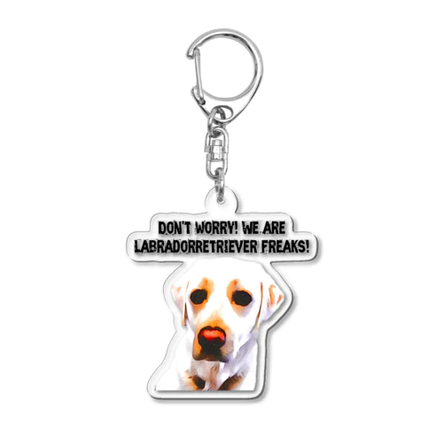 LabradorRetriever Freaks Acrylic Key Chain