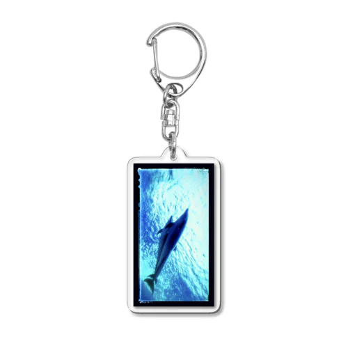 ドルフィン Acrylic Key Chain