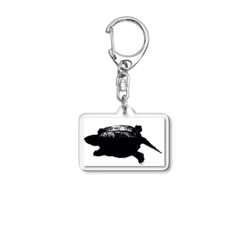 カミツキガメ キーホルダー Acrylic Key Chain
