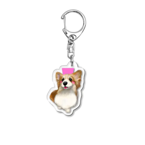 ヒナちゃんキーホルダー Acrylic Key Chain