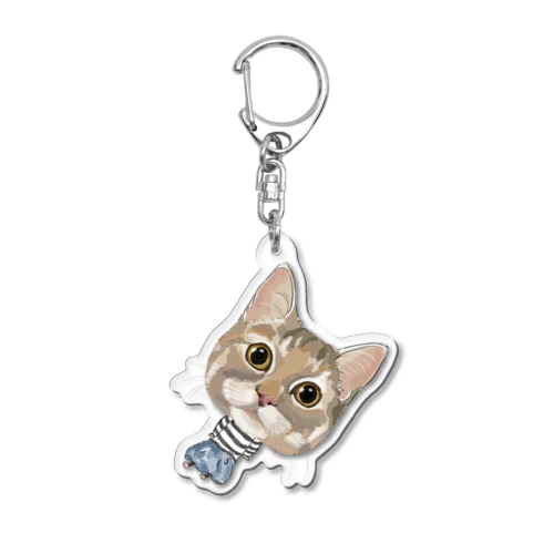 lizu Acrylic Key Chain