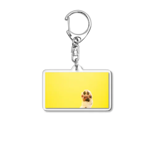 MellsaM 3.3 Acrylic Key Chain