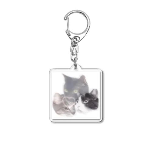 うちのねこかわいいからみてよ Acrylic Key Chain