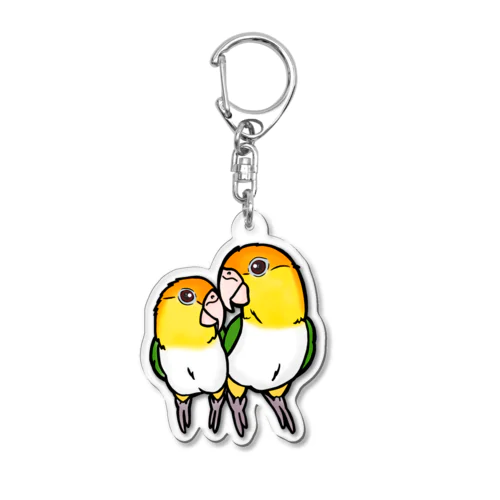 シロハラインコのアクキー Acrylic Key Chain