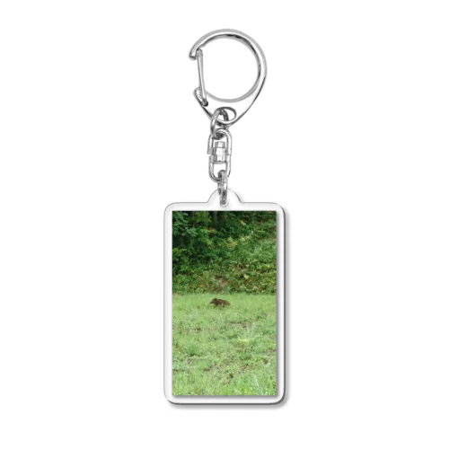 野生のイノシシ君 Acrylic Key Chain