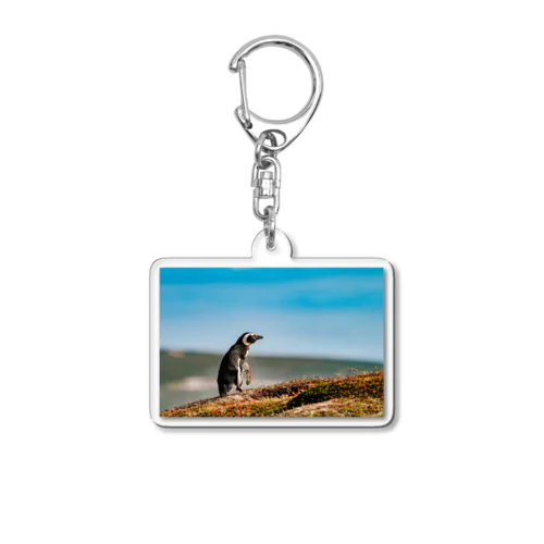 ペンギン Acrylic Key Chain