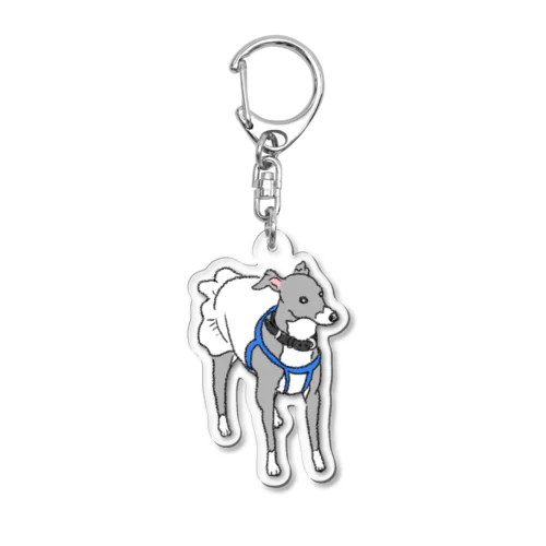 ワンピースのイタグレ Acrylic Key Chain