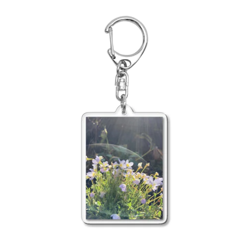 植物のオーラ Acrylic Key Chain