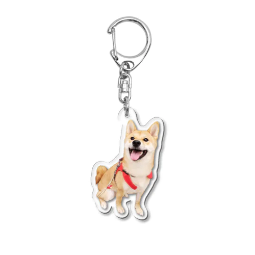 ニパーえび２ Acrylic Key Chain