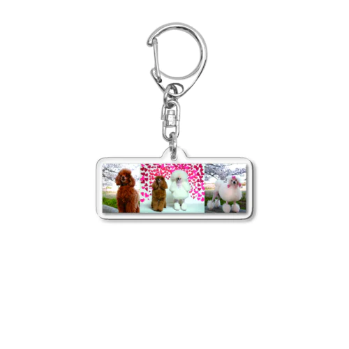 kiri Acrylic Key Chain