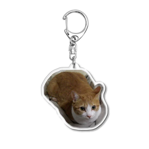 きなこ(A) Acrylic Key Chain