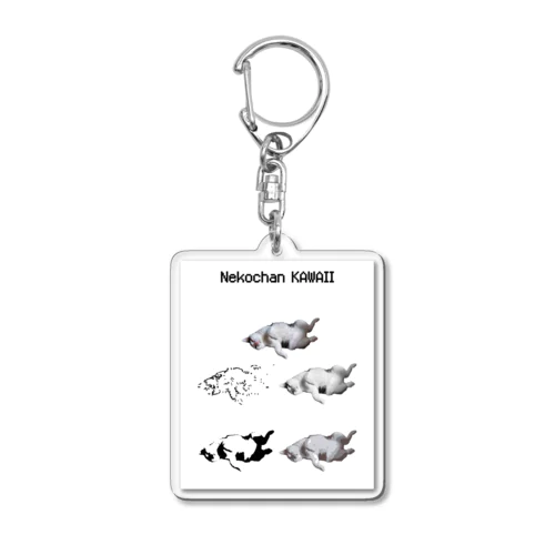 NEKOACHAN KAWAII Acrylic Key Chain