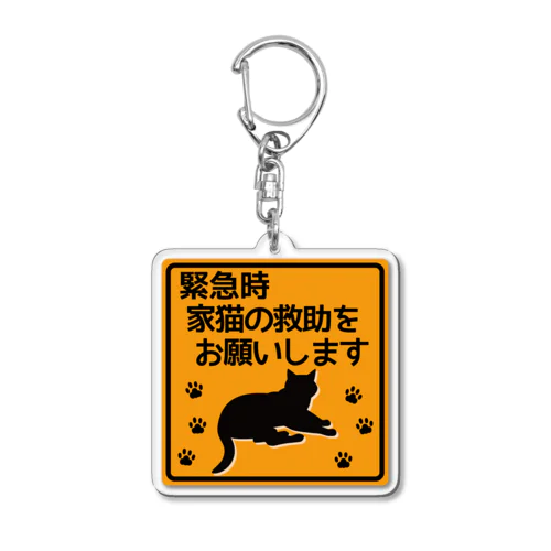 猫救助願います＊オレンジ色＊2 Acrylic Key Chain