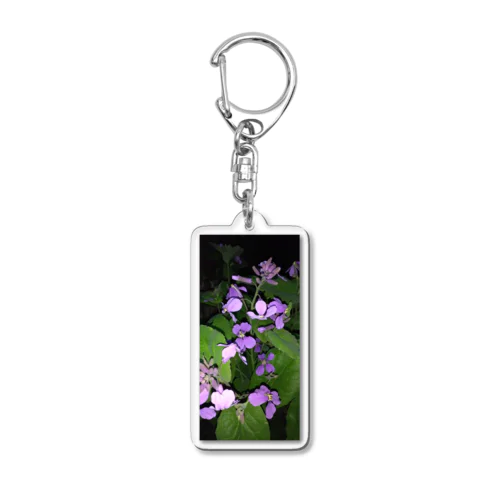 紫花菜 Acrylic Key Chain