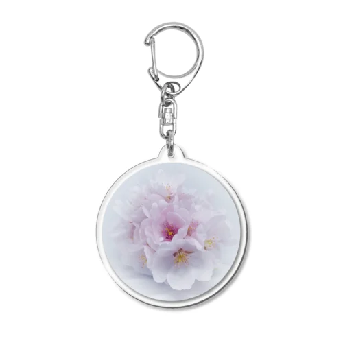 桜花 1 Acrylic Key Chain