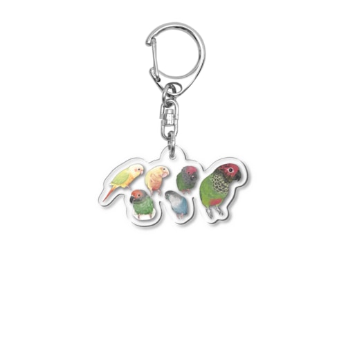 あつまれウロコインコちゃん【まめるりはことり】 Acrylic Key Chain