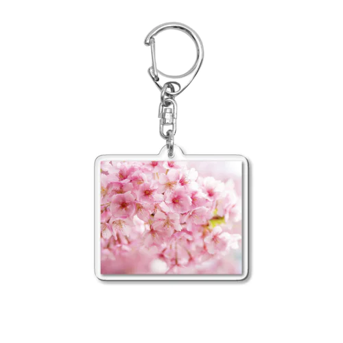 桜の樹の下で Acrylic Key Chain