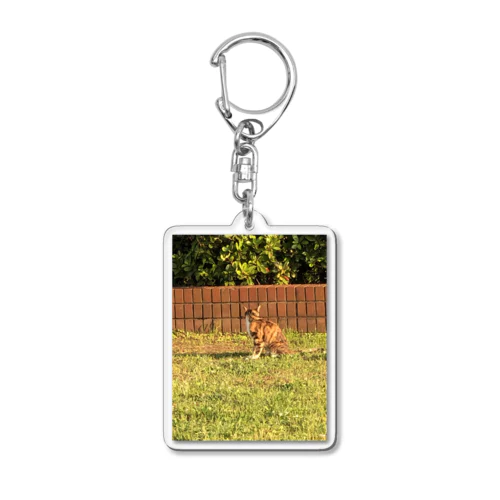 ねこ Acrylic Key Chain