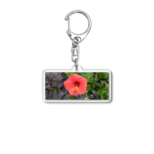 一日花の活きる姿　ハイビスカス🌺パワー Acrylic Key Chain