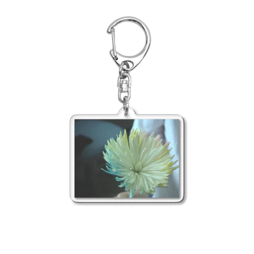 COLOR Acrylic Key Chain