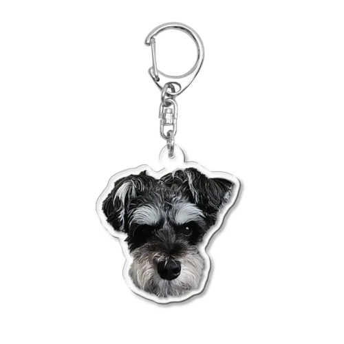 SCHNA Acrylic Key Chain