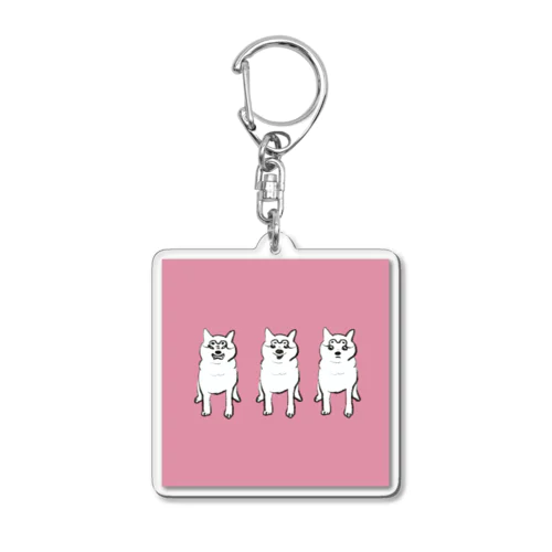 3匹のしばけん Acrylic Key Chain