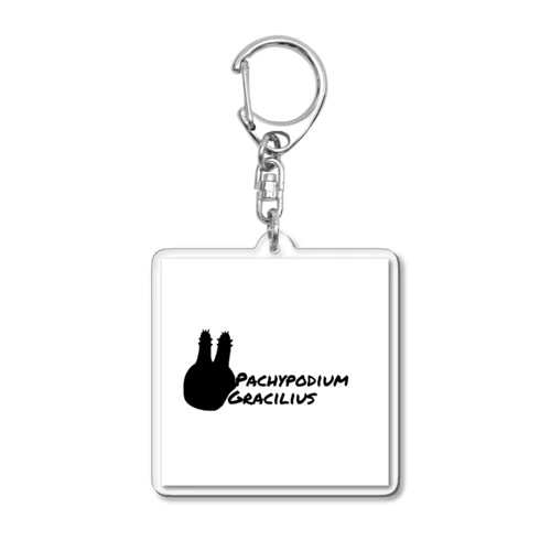 Pachypodium Gracilius  Acrylic Key Chain